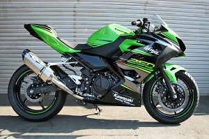 BEET(r[g) y4582346464716z iT[gR-Evo TYPE2 u[TI NINJA250 18- JP250p[VO}t[