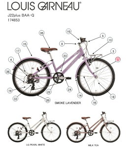 asahi (�A�T�q) �y4560285284824�z 174859000 LOUIS GARNEAU(���C�K�m) J22Plus BAA-Q(SMOKE LAVENDER) �t�����g�t�H�[�N (��C�p�[�c)