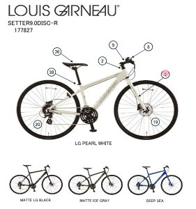 asahi (�A�T�q) �y4560285299637�z 177838000 LOUIS GARNEAU(���C�K�m) SETTER9.0DISC420-R (MATTE ICE GRAY) �t�����g�t�H�[�N (��C�p�[�c)