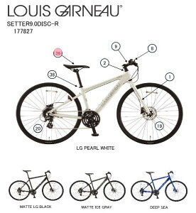 asahi (�A�T�q) �y4560285299941�z 177850000 LOUIS GARNEAU(���C�K�m) SETTER9.0DISC-R �T�h�� (��C�p�[�c)