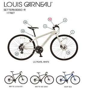 asahi (�A�T�q) �y4560285301279�z 178472000 LOUIS GARNEAU(���C�K�m) SETTER9.0DISC 370/420-R �X�e�� (��C�p�[�c)
