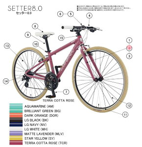 asahi (�A�T�q) �y4562333448059�z 93001000 LOUIS GARNEAU(���C�K�m) SETTER 8.0 �t�����g�t�H�[�N (STAR YELLOW 420) (��C�p�[�c)