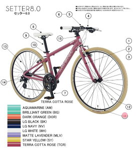 asahi (�A�T�q) �y4562333448257�z 93021000 LOUIS GARNEAU(���C�K�m) SETTER 8.0 ���� (��C�p�[�c)