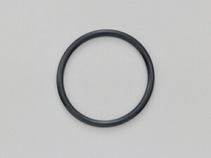 yzyfCgi (DAYTONA)z y4909449563786ztB[LbvpbL Kawasaki@OO 17652