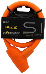 yTMTJz y4973291717062z 71706 VRP[ubN60cm IW