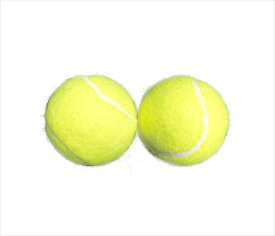 【マルシン産業】 【4986073958973】NSX-045　硬式テニスボール