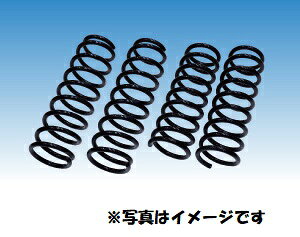 �yRG�i�A�[���W�[�j�z �y4996327102250�z RG �A�b�vSP VM20 NV200 2WD SN039A-UP