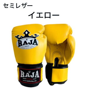 yzW RAJA {NVOO[u VOJ[ qE nhCh yZ~U[zG^C {^CY iZ p` LbN{NVO