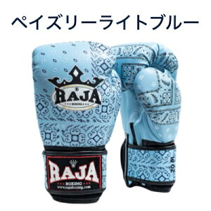 y{vnhChfzW RAJA {NVOO[u t@V[V[Y G^C {^CY iZ p` LbN{NVO