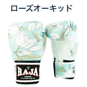 y{vnhChfzW RAJA {NVOO[u t@V[V[Y G^C {^CY iZ p` LbN{NVO