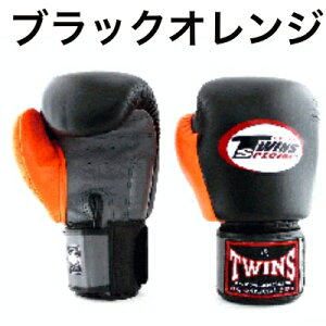 yc[gJ[zTwins cCY {NVO O[u {v v {^CY g[jO iZyz