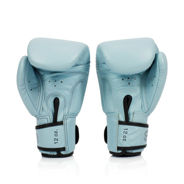 楽天市場】【送料無料】【ニューカラー】フェアテックス Fairtex BGV20 