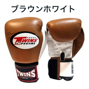 yNewJ[zTwins cCY {NVO c[g O[u {v v {^CY g[jO iZ