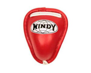 yzt@[Jbv t@EJbv O[CveNV S M L XL TCY Windy Twins Fairtex