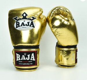 yzW RAJA {NVOO[u model4 nhCh G^C {^CY iZ p` LbN{NVO