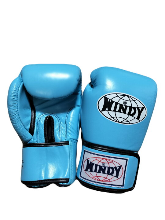 楽天市場】【2024-NEW】Windy ウィンディー ボクシンググローブ 6 8 10 