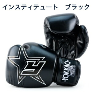 YOKKAO bJI {NVO O[u yLETTERING - INSTITUTIONz}CNt@Co[ {^CY g[jO iZ G^C