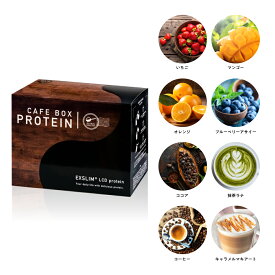 エクサスリム プロテイン 選べる8フレーバー 700g（50g×14袋）箱 ダイエット 置き換えダイエット おいしい ソイプロテイン ホエイプロテイン たんぱく質 WPI 栄養補給 ビタミン 食物繊維 乳酸菌 葉酸 鉄分 美容