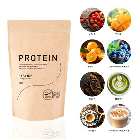 エクサスリム プロテイン 選べる8フレーバー 400g 袋 ダイエット 置き換えダイエット おいしい ソイプロテイン ホエイプロテイン たんぱく質 WPI 栄養補給 ビタミン 食物繊維 乳酸菌 葉酸 鉄分 美容 健康 朝食 人気