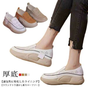 O V[Y fB[X  Xb|  q[5cm ₷ lԍHw [t@[ EhgD  ʋC Xj[J[ RtH[gV[Y C y Xb| 