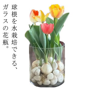 t[x[X k KX   t[Mtg t[|bg KX KX Ɏq  Ԋ i` ԕr /͔| K[fjO `[bv qVX  X