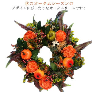 [X nEB 45*45cm J{`   k   pvL H i` nEBJ[ IW CeA I[^[X i    hA Ǌ| fBX