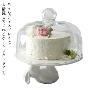 P[LX^h k 킢 ETM  25cm P[Lg[  KX W  fBXvC R|[g eB[^C   Lb` JtF CeA G mg[ V