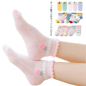 q C LbY ėp  AN\bNX V[g\bNX 5g   j̎q ̎q ԕ  ʕ 킢 xr[ C WjA ۈ牀 ct ʉʊwC