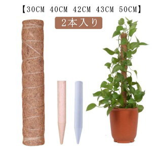 2{ ϗtA |gX |x VR RRibcx Ax 30CM 40CM 42CM 43CM 50CM RRibcx |x VR RRibc x ϗtA Xe |gX 鐫A AT|[g 