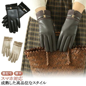 O[u N h fB[X  Ԃ  oCN fB[X oCN N v ~ ۉQ h   tFCNU[ h  ] fB[X g H~ v