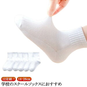 C q 19 p N[ 12Zbg w  ̎q XN[\bNX 16 I[V[Y  c \bNX 14 j̎q 15 LbY 17 18 Cxg 20 21 22 23 24 25 26cm