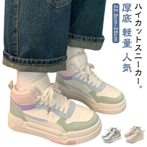 y Xj[J[ yXb| gAbv Xj[J[ Xj[J[  ^C lC nCJbgV[Y zCg  rXj[J[ C V[Y nCJbg ʋ d ʊw wZ