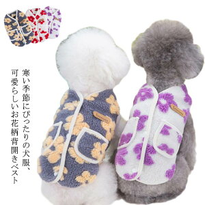 wJ  ~ ̕ j̎q  xXg ~ ~  wJ  wJ g   ԕ d˒  _炩 Ȃ h іh~ wJ ̎q CX^f