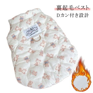 ^ DJt N WPbg hp[J[ WPbg R[g  ȃxXg ^ `bL LeBOxXg d˒ hbOEFA ybg~ g H~ m 