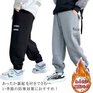 {A e[p[hpc {A LbY ~  {gX XEFbgpc R[fC Opc g g H H~  {A  傫TCY N n C JW