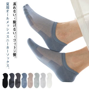  Y ėp  Xj[J[\bNX ~  Rbg C ԂC V[g bV    傫TCY L 8Zbg 󗚂  Rۋz \