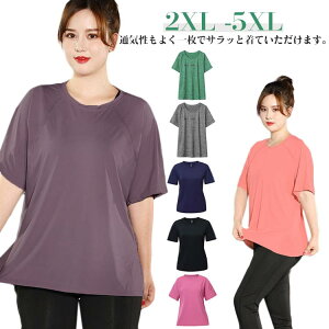 KEFA gbvX  KtVc fB[X KgbvX seBX EFA  ̌^Jo[  Lk 킢 X|[c tBbglX WEFA zbgK Xgb