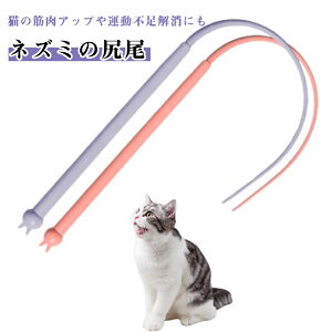 L炵 lY~̐K S2F 1 VR S Lp L̃XgX L̂ ^sP L̊ߋ ybgpi XgXy  ₵ ^΍ 얞h~ ybgObY 