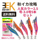 秋イカ厳選5本セット エギ王K 2.5号-3.0号S ムラムラチェリー カクテルオレンジ ブルーポーション 【5A】初心者おすす…