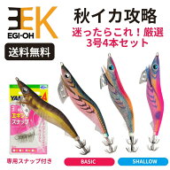 秋イカ厳選4本セット エギ王K 3.0号 4本セット 店長厳選 3号 ノーマル シャロー 軍艦グリーン 金アジ ム…