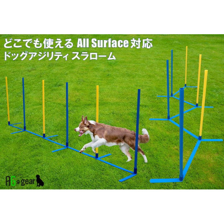 楽天市場 室内でも使える アジリティ スラローム 犬用 自立 角度調整 組立式 軽量 2 7kg 持運びキャリーバッグ オススメ図解入り練習ブック付き 何処でもスラ ペット 犬用品 運動器具 競技 訓練 トレーニング しつけ ドッグラン 雑貨のワールドピグ