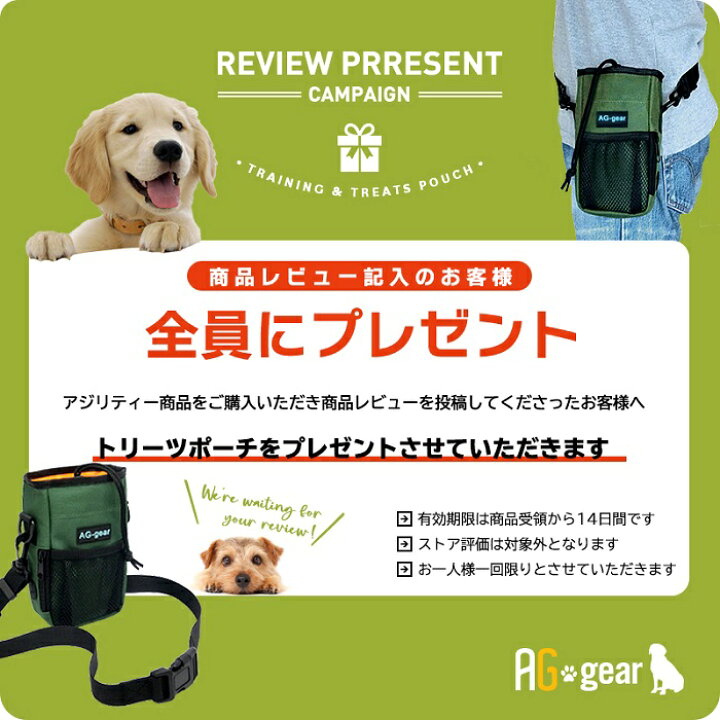 楽天市場 室内でも使える アジリティ スラローム 犬用 自立 角度調整 組立式 軽量 2 7kg 持運びキャリーバッグ オススメ図解入り練習ブック付き 何処でもスラ ペット 犬用品 運動器具 競技 訓練 トレーニング しつけ ドッグラン 雑貨のワールドピグ