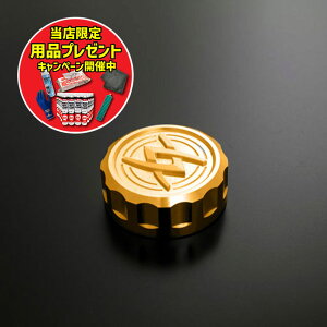 yԌ肨܂tIzARCHI A[L }X^[Lbv ver.ARCHI@A@S[h Z900RS/CAFE