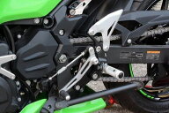 BabyFace ベビーフェイス セットバックプレート ブラック Ninja250/40018 18