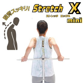【Stretch X mini】ストレッチエックス ミニストレッチ トレーニング 健康器具 グッズ ストレッチマシン ヨガ スティック デスクワーク テレワーク パソコン スマホ 疲労 回復