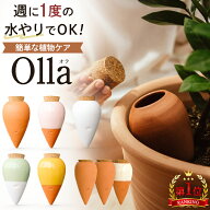 鉢植え 水やり 自動 陶器 観葉植物 素焼き 水やり器 Olla