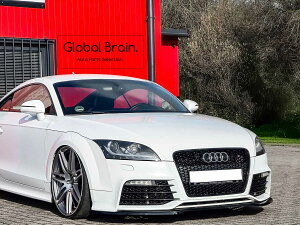AEfB TT RS TTRS 8J tg bv X|C[/AUDI Xvb^[ fBt[U[ GA p[c ingo noak