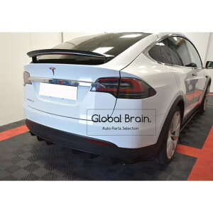 eX f X A gN X|C[ V2/ Tesla Xvb^[ fBt[U[ GA p[c JX^ `[