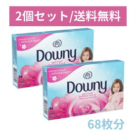 【2個セット】Downy ダウニーシート エイプリルフレッシュ 34枚 × 2個 柔軟剤シート 衣類 乾燥機 クローゼット 香り付け 静電気防止