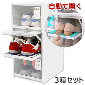 靴収納ケース 玄関収納 通販 価格比較 3ページ目 価格 Com